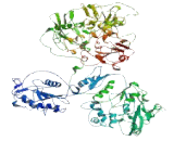 Testis And Ovary Specific PAZ Domain Containing Protein 1 (TOPAZ1)