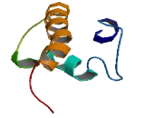 Chromosome 3 Open Reading Frame 79 (C3orf79)