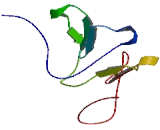 Chromosome 4 Open Reading Frame 11 (C4orf11)