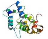 Chromosome 4 Open Reading Frame 17 (C4orf17)