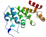 Chromosome 4 Open Reading Frame 19 (C4orf19)