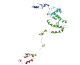 Chromosome 4 Open Reading Frame 27 (C4orf27)