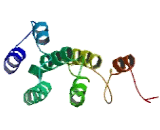 Chromosome 4 Open Reading Frame 32 (C4orf32)