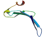 Chromosome 4 Open Reading Frame 33 (C4orf33)