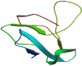 Small Integral Membrane Protein 14 (SMIM14)