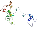 Chromosome 4 Open Reading Frame 42 (C4orf42)