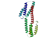 Myb/SANT Like DNA Binding Domain Containing Protein 1 (MSANTD1)