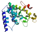 Chromosome 4 Open Reading Frame 50 (C4orf50)