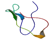 Chromosome 4 Open Reading Frame 51 (C4orf51)