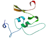 Chromosome 4 Open Reading Frame 6 (C4orf6)