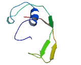 Chromosome 5 Open Reading Frame 17 (C5orf17)