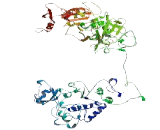 SUMO Interacting Motif Containing Protein 1 (SIMC1)