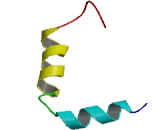 Chromosome 5 Open Reading Frame 28 (C5orf28)