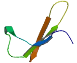 Chromosome 5 Open Reading Frame 30 (C5orf30)