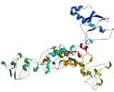 Chromosome 5 Open Reading Frame 34 (C5orf34)