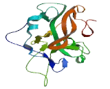 SET Domain Containing Protein 9 (SETD9)