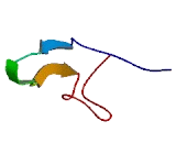 Chromosome 5 Open Reading Frame 47 (C5orf47)