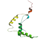 Chromosome 5 Open Reading Frame 49 (C5orf49)