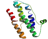 Small Integral Membrane Protein 23 (SMIM23)