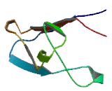 Chromosome 5 Open Reading Frame 51 (C5orf51)