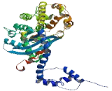 Zinc Finger, BED-Type Containing Protein 8 (ZBED8)