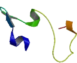 Chromosome 5 Open Reading Frame 56 (C5orf56)