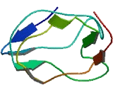 Chromosome 5 Open Reading Frame 58 (C5orf58)