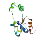 Chromosome 5 Open Reading Frame 64 (C5orf64)