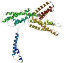 Testis Specific Basic Protein (TSBP)