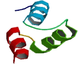 Chromosome 6 Open Reading Frame 106 (C6orf106)