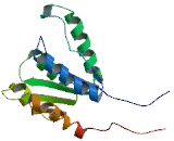 2'-Deoxynucleoside 5'-Phosphate N-Hydrolase 1 (DNPH1)