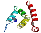 BVES Antisense Gene Protein 1 (BVES-AS1)