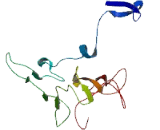 MLLT4 Antisense Gene Protein 1 (MLLT4-AS1)