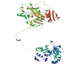 Patched Domain Containing Protein 4 (PTCHD4)