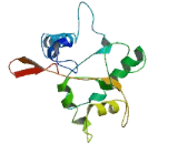 Chromosome 6 Open Reading Frame 141 (C6orf141)