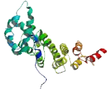 Family With Sequence Similarity 217, Member A (FAM217A)