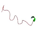 Chromosome 6 Open Reading Frame 15 (C6orf15)