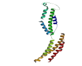 Chromosome 6 Open Reading Frame 163 (C6or<b>f163</b>)