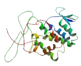 Failed Axon Connections Homolog (FAXC)