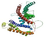 Suppressor Of Glucose, Autophagy Associated Protein 3 (SOGA3)