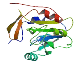 Methyltransferase Like Protein 24 (METTL24)