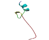 Transmembrane Protein 244 (TMEM244)