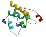 Chromosome 6 Open Reading Frame 195 (C6orf195)