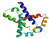 Chromosome 6 Open Reading Frame 203 (C6orf203)