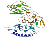 Acidic Residue Methyltransferase 1 (ARMT1)