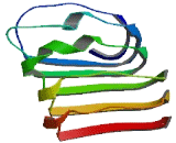 Chromosome 6 Open Reading Frame 218 (C6orf218)