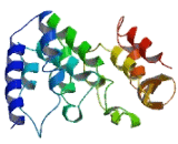 Chromosome 6 Open Reading Frame 222 (C6orf222)