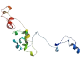 Chromosome 6 Open Reading Frame 223 (C6orf223)