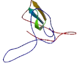 Chromosome 6 Open Reading Frame 226 (C6orf226)