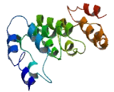 Chromosome 6 Open Reading Frame 227 (C6orf227)